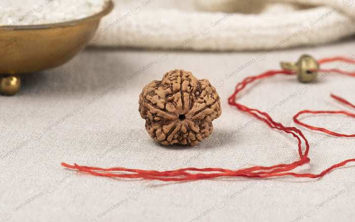 5 Mukhi Rudraksha: Discover the Divine Power