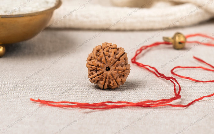 7 Mukhi Rudraksha Abhimantrit: The Bead of Prosperity and Balance